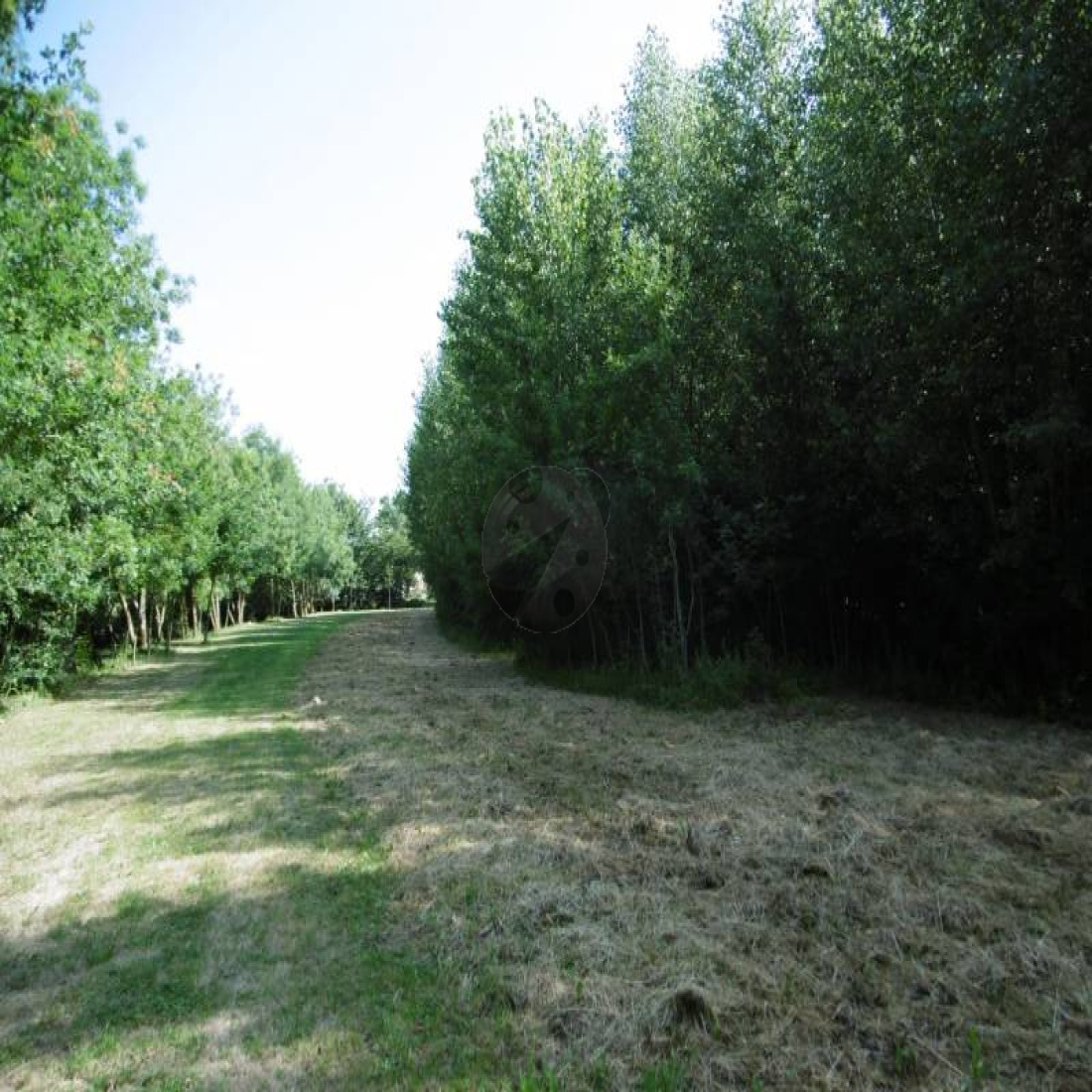 Terrain De Loisir à Vendre Bord De Rivière vente Terrain de loisirs de 3 000 m2 au bord de l'eau
