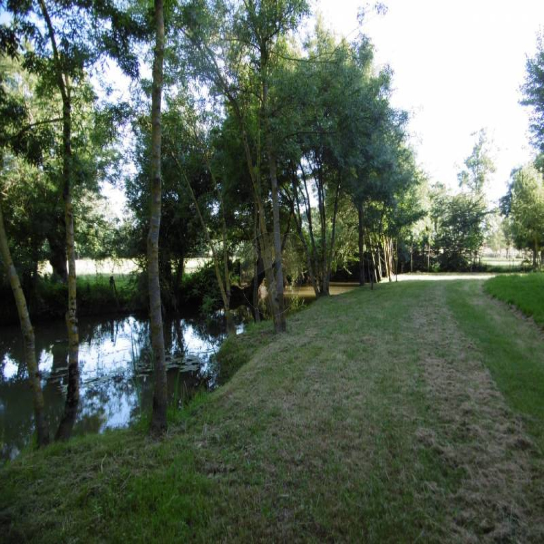 Terrain De Loisir à Vendre Bord De Rivière vente Terrain de loisirs de 3 000 m2 au bord de l'eau